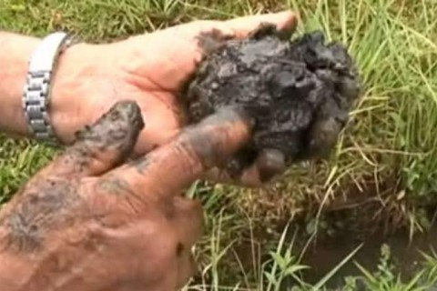 FAMÍLIA VIVE HÁ MAIS DE UMA DÉCADA SEM RESPOSTA SOBRE POSSÍVEL PRESENÇA DE PETRÓLEO