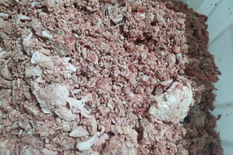 Operação fecha frigorífico por suspeita de carne adulterada no Oeste