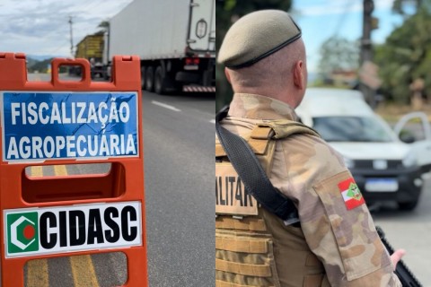 Operação conjunta fiscaliza transporte de animais e produtos agrícolas em SC