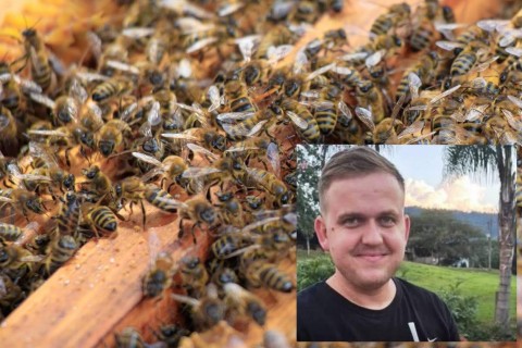TRAGÉDIA JOVEM AGRICULTOR MORRE APÓS ATAQUE DE ABELHAS EM SC