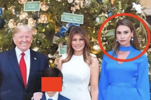 Caso Epstein: entenda a ameaça de Amanda Ungaro, ex-modelo brasileira a Donald Trump e Melania